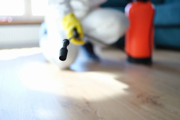Best Mold Damage Restoration  in South Yarmouth, MA