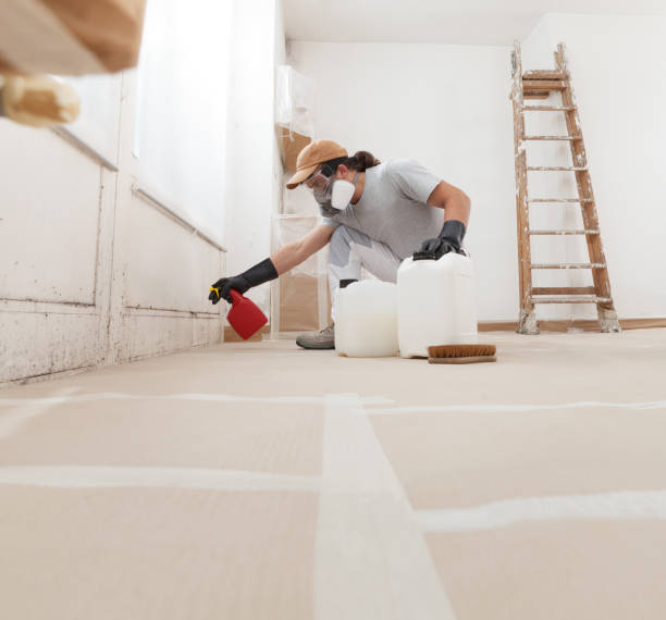 Best Mold Odor Removal Services  in South Yarmouth, MA